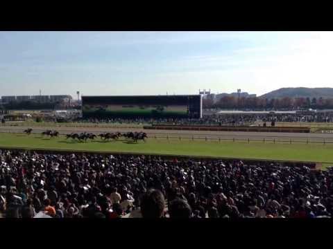Day 12 - Fourth Day in Tokyo.  At Tokyo Race Course.