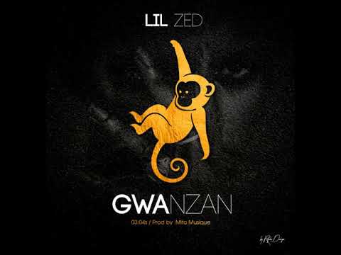 Lil zed: E.A (En Attendant ) Gwanzan