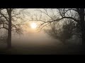 Chimaira - Heart Of It All