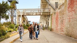 San Francisco Hop-On Hop-Off Ticket and Alcatraz Tour