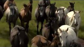 TOE STOP MY HART - LIANIE MAY &amp; JAY