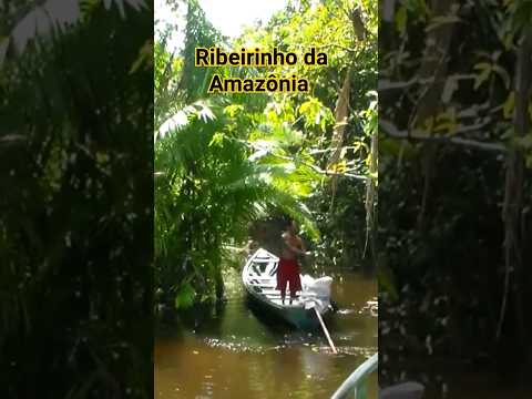 RIBEIRINHO DA AMAZÔNIA no rio Tefé, Alvarães, Amazonas.