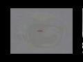 Klasky Csupo In D Major