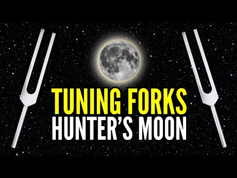 Attract Abundance This Hunter’s Moon 🌕 210.42 Hz + 888 Hz Tuning Forks