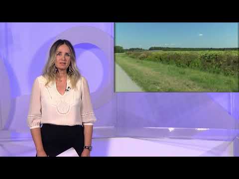 24.8.2023. VIJESTI OSJEČKE TELEVIZIJE