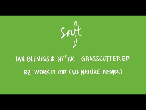 Ian Blevins & NY*AK - Work It Out (DJ Nature Remix) [SAFT11]