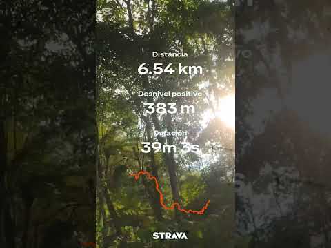 entrenamiento montaña jueves 29 enero 2026alto de la cruz Caldas Antioquia,Colombia 1800 msnm.