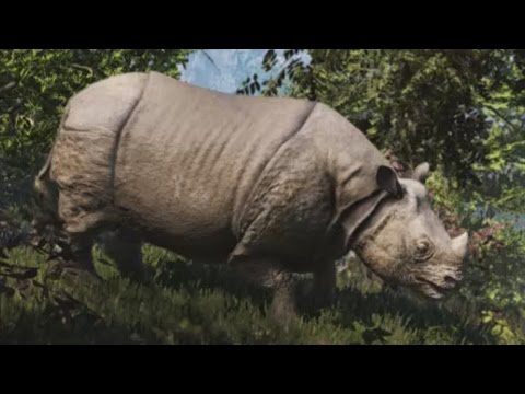Far Cry 4 - Rhino´s , how to safely double skin hunt them