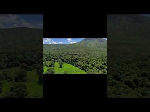 Fazenda de 65 alqueires em Niquelândia Go 