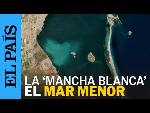 Así es el FENÓMENO que AFECTA ya al 9% del MAR MENOR | EL PAÍS