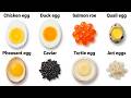 Every Egg Type Explained DEFAULT Thumbnail