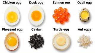 Every Egg Type Explained MQDEFAULT Thumbnail