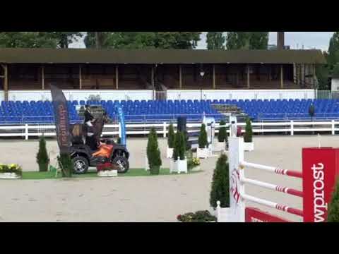 Calicor 7 y old 140 Sopot