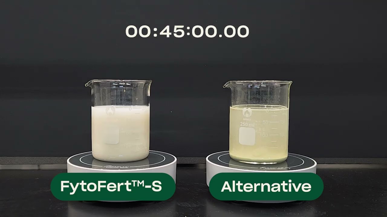 Video preview poster