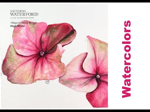 Watercolor Hydrangeas Painting Demo