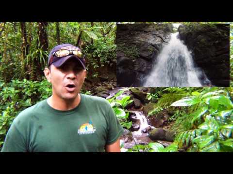 El Yunque Tours - What Should I Wear?