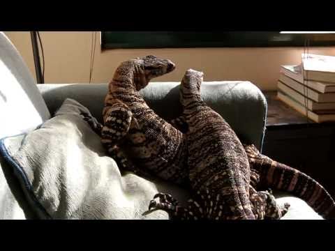 up way too close and personal