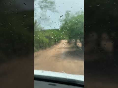 Pão de Açúcar Alagoas