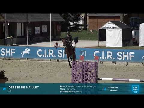 CIR SHF 2018 - CSO Pompadour 5 ans - Déesse de Maillet