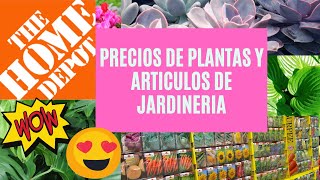 😱PRECIOS DE PLANTAS Y ARTÍCULOS DE JARDINERÍA EN THE HOME DEPOT ( Febrero 2021)
