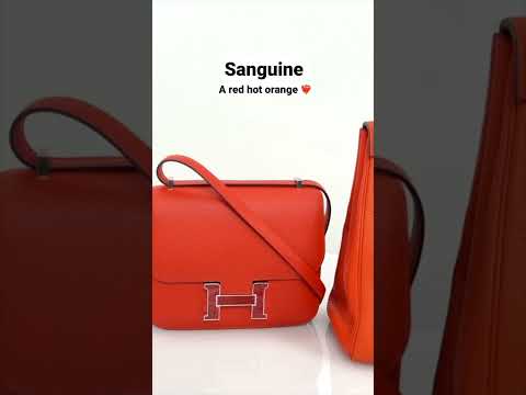 How many iconic Hermes orange colors can you name? #shorts #hermes #colors #baglover #designerbags