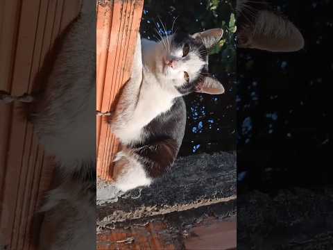 Cidade Segura e Para Relaxar, Fartura, Fica Interior de SP