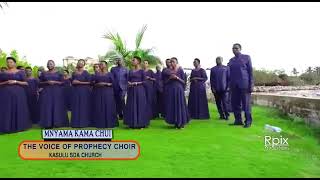 Mnyama Kama Chui by The  Voice of Prophecy Choir K