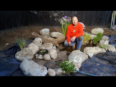 Frog Pond | Build a Pond for Frogs - Part 4