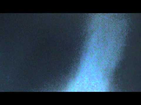 Napoli-Dnipro 1-1 Gol di David Lopez Live Curva B (07-05-2015)