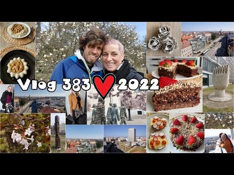 Vlog 383/22 -  Budějce, synagoga, pohankový perník a růžičky