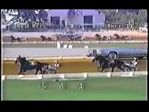 1993 Lexington Red Mile PINE CHIP Kentucky Futurity Final
