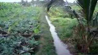 preview picture of video 'Dasanur Village, Mettupalayam - 641305'