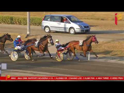 VI Corsa del 16 Settembre 2023 - 7 Anni ed oltre - Metri 2000