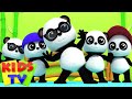 Bao Panda Five Little Pandas 3D Nursery Rhymes From Kids Tv Baby Bao Panda