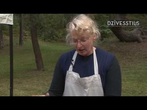 Gundegas, dižbrūkleņu ogas