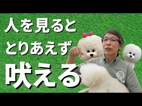 【犬のしつけ】人を見るととりあえず吠える【悩み相談ライブ切り抜き】