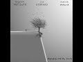Zbigniew Preisner, Lisa Gerrard, Dominik Wania - Melodies of my youth ( 2019)