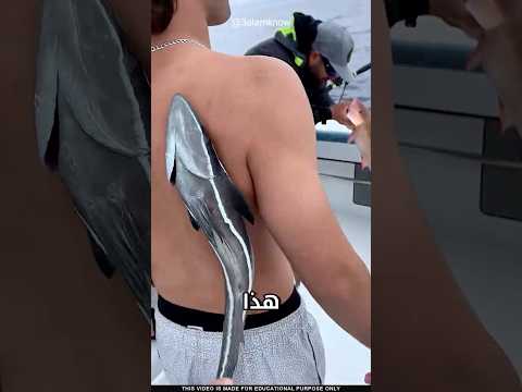 ما سر السمكة الماصة