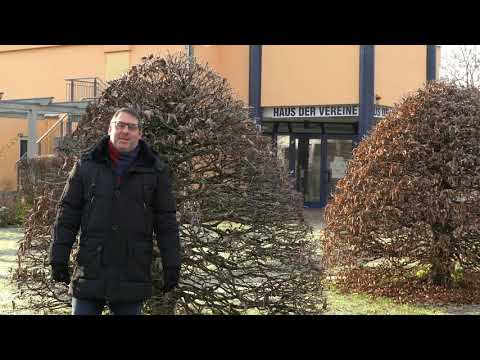 Frank Enders 37guteGründe