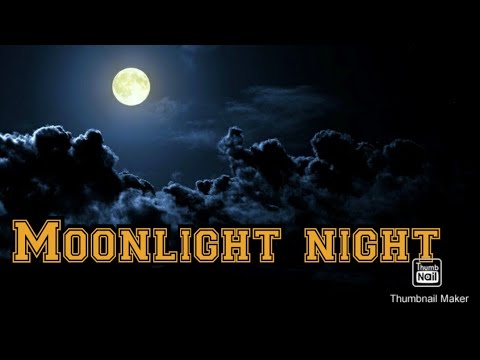 Moonlight night. by Kazi Iqbal Mahmud