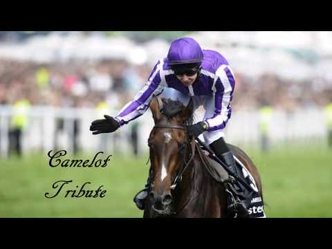 Camelot Tribute - A Sky Full Of Stars