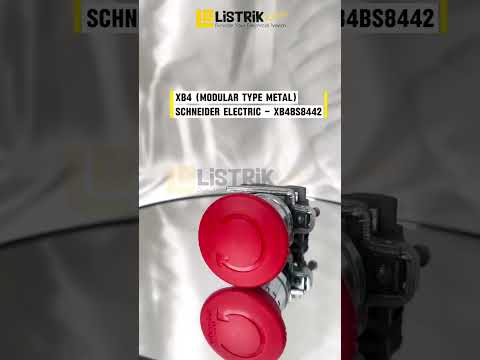 XB4BS8442