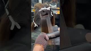 How To Rebond Damage Bleach Hair.