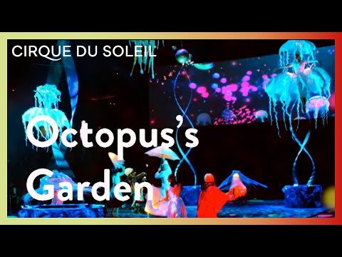 Inside Look: The Beatles LOVE by Cirque du Soleil | Octopus's Garden | Cirque du Soleil