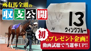 中央地方の愛馬全頭の収支を教えます！馬主のリアル
