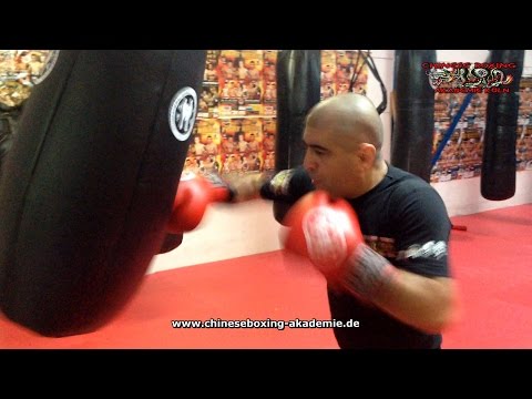 Sifu Nihat Atamtürk - Training an der Maisbirne