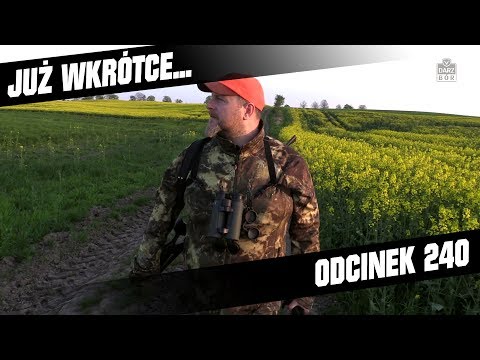 Darz Bór zapowiedź odcinka 240