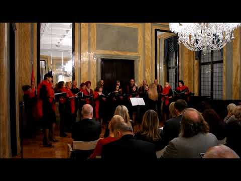 The Lion Sleeps Tonight - hor Raspevani profesori