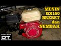 GX160 GASOLINE ENGINE FIRES LATEST DIESEL SERVICE DIESELtechservice