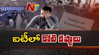 Special Focus On IT Crisis | Software Jobs | Ntv